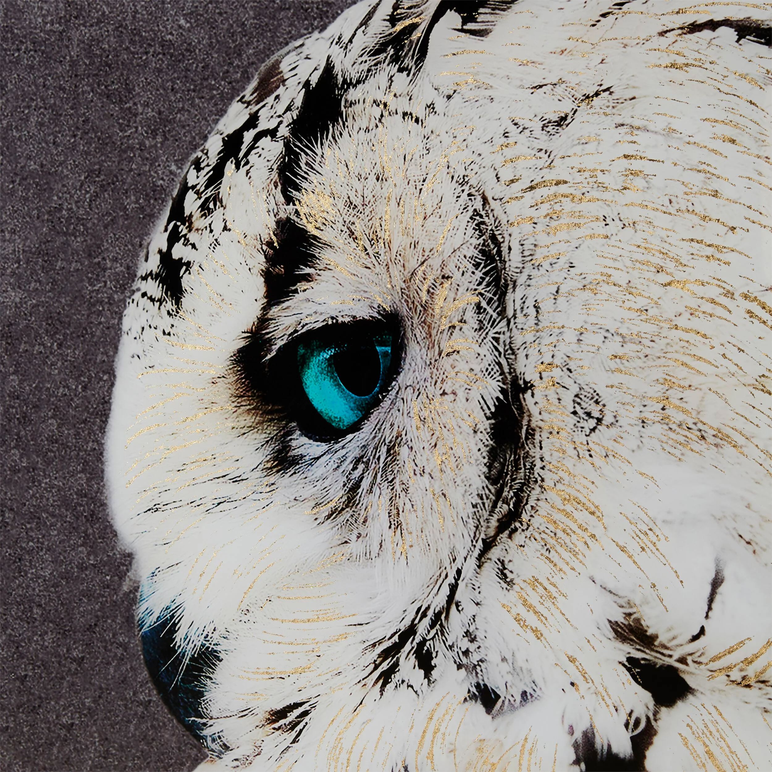 Snow Owl Framed Print 120x80cm - Image 2